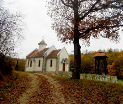 joanikije 
Манастир Светог Николе 
2016-11-15 21:17:31