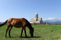 jarek1 
Alawerdi monastery 
36 
2016-11-16 22:02:34