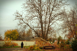 s.nektaria 
Last autumn days 
2016-11-27 20:26:31