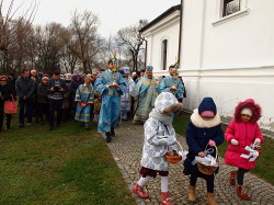 szolucha.w 
Procesja 
2016-11-28 12:17:46