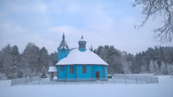 zinka2 
Szastały w zimowej szacie 
2016-11-29 19:25:59