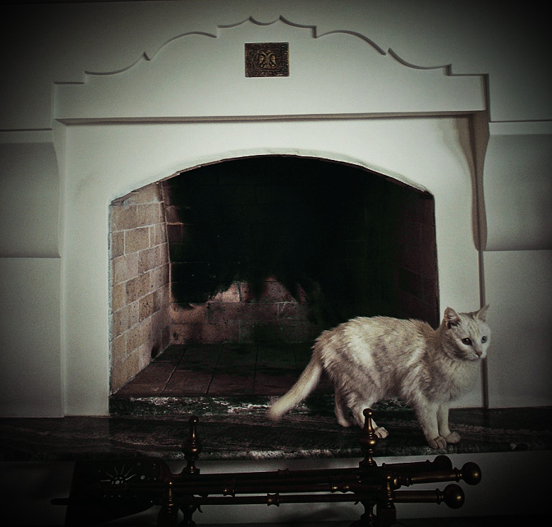 Byzantine cat