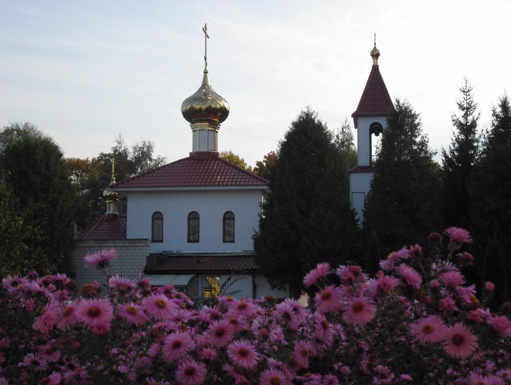 Вечаровыя кветкі