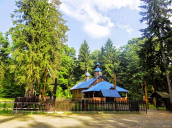 JolantaO 
Krynoczka - piekna i tajemnicza 
42 
2016-12-01 12:47:55