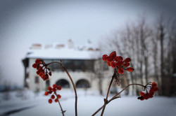 s.nektaria 
 
2016-12-03 20:18:53
