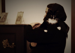 s.nektaria 
Mother hegumeness, piano, cat 
2016-12-10 10:42:05