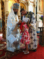 szolucha.w 
Święta eucharystia. 
2016-12-20 05:50:04
