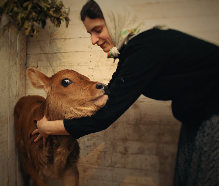 The calf