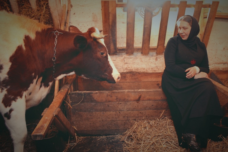 The extension of farm theme