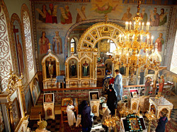 szolucha.w 
Święta eucharystia 
41 
2017-01-02 08:24:54