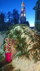 AlexandraP 
Вертеп в Троице-Сергиевой Лавре 
2017-01-09 18:46:15