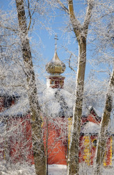 jarek1 
Orthodox church in Zbucz 
2017-01-19 10:34:26