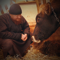 s.nektaria 
The bishop & newborn   
36 
2017-01-23 15:18:39