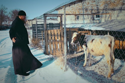 s.nektaria 
The bishop & a little cow  
36 
2017-01-24 21:29:06