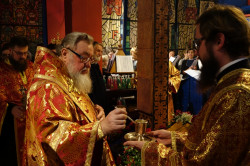 jarek1 
The All-night vigil in St. Gregory Peradze chapel in Warsaw 
2017-01-27 21:17:21