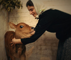 s.nektaria 
The calf 
2017-01-29 06:08:34
