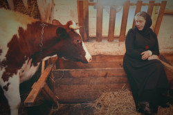 s.nektaria 
The extension of farm theme 
2017-01-29 23:02:30