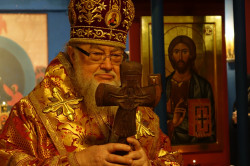 jarek 
St. Gregory Peradze feast in Warsaw, 2016 
2017-01-31 22:43:00
