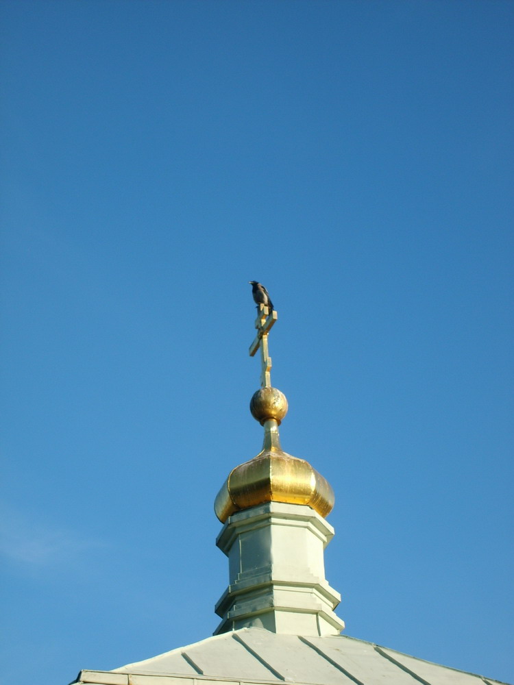 Валаам. 2006 г. Часовня иконы Божией Матери "Всех скорбящих Радость"