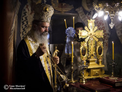 hmiodrag 
владика Теодосије 
45 
2017-02-14 23:22:35