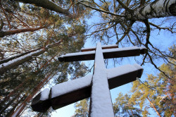 jarek1 
Koźliki - z cross in  the sky 
2017-02-18 20:40:03