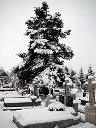 szolucha.w 
Cmentarz zimą. 
2017-02-19 18:20:52