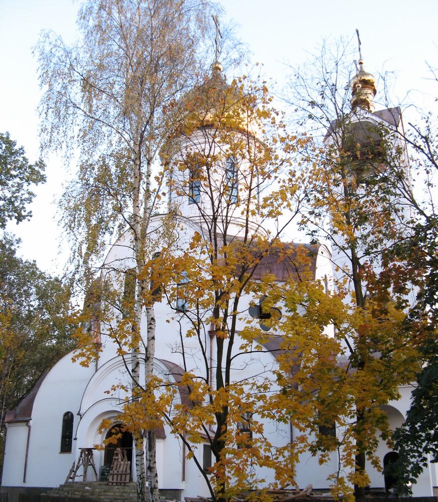 Церковь Рождества Христова в Немчиновке.