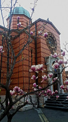 AleksaSrbin 
црква св.Николе - ново гробље 
2017-03-24 23:44:12