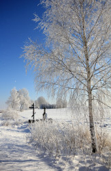 jarek 
Landscape close to Morze village 
2017-03-25 15:32:43