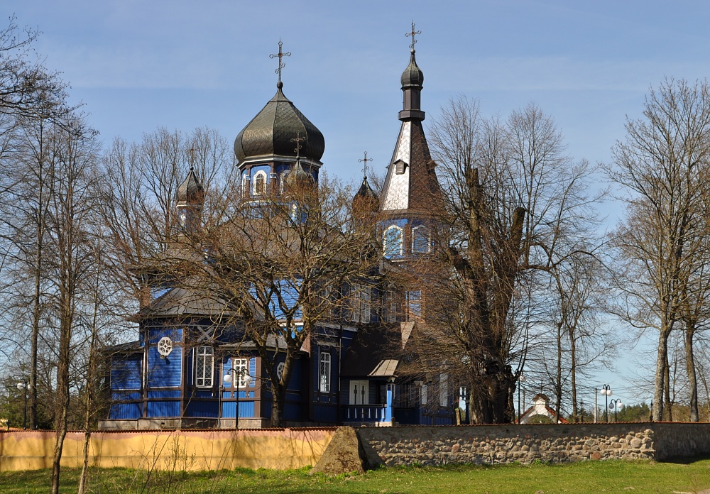 Puchły