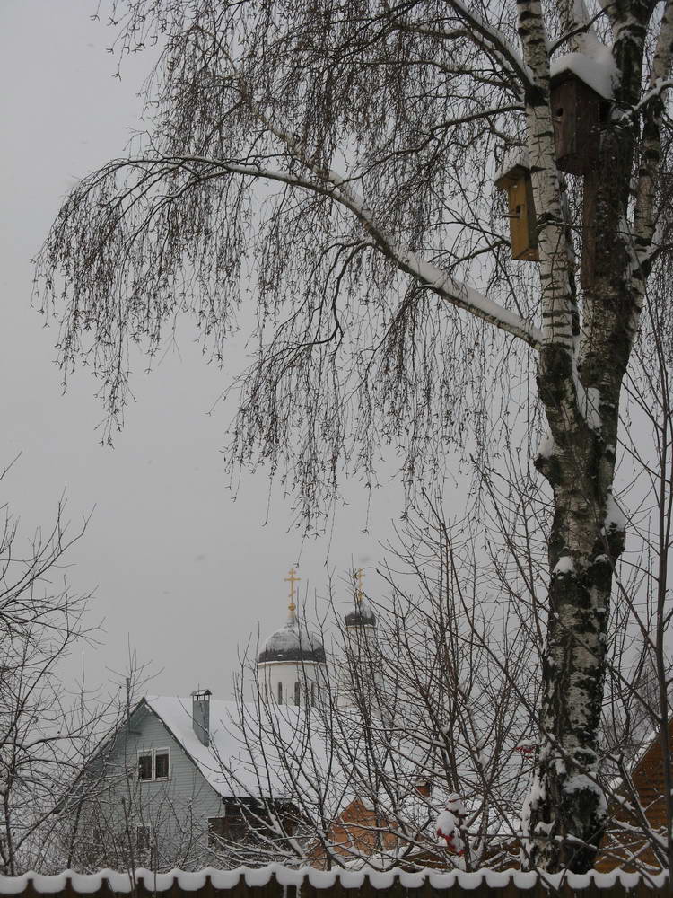 Апрелевка. Декабрь 2011 г.