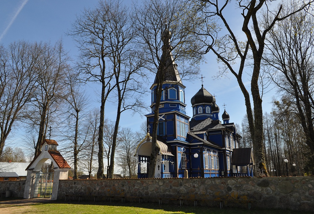 Puchły