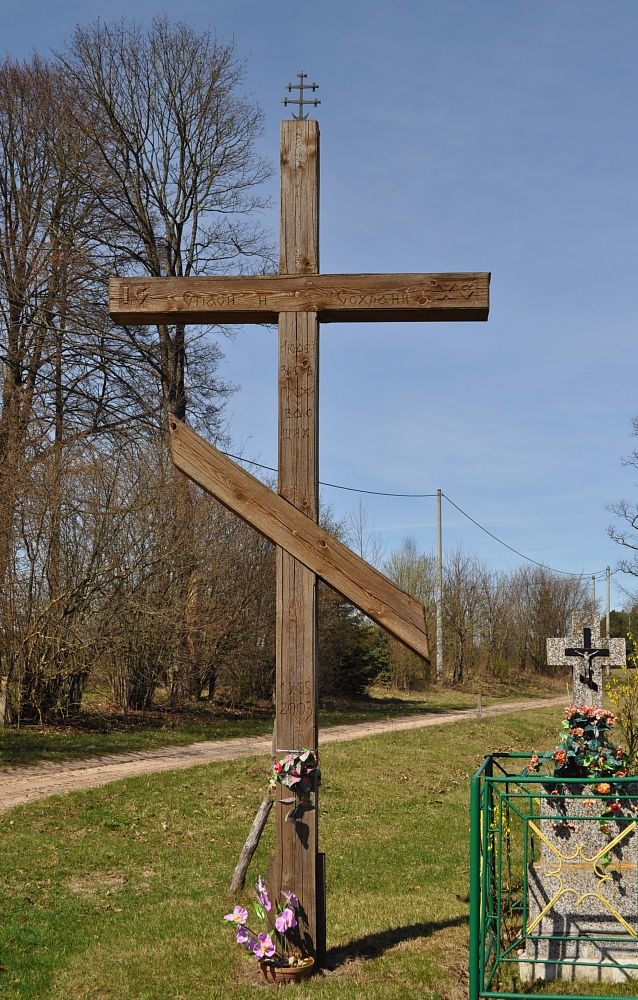 Puchły