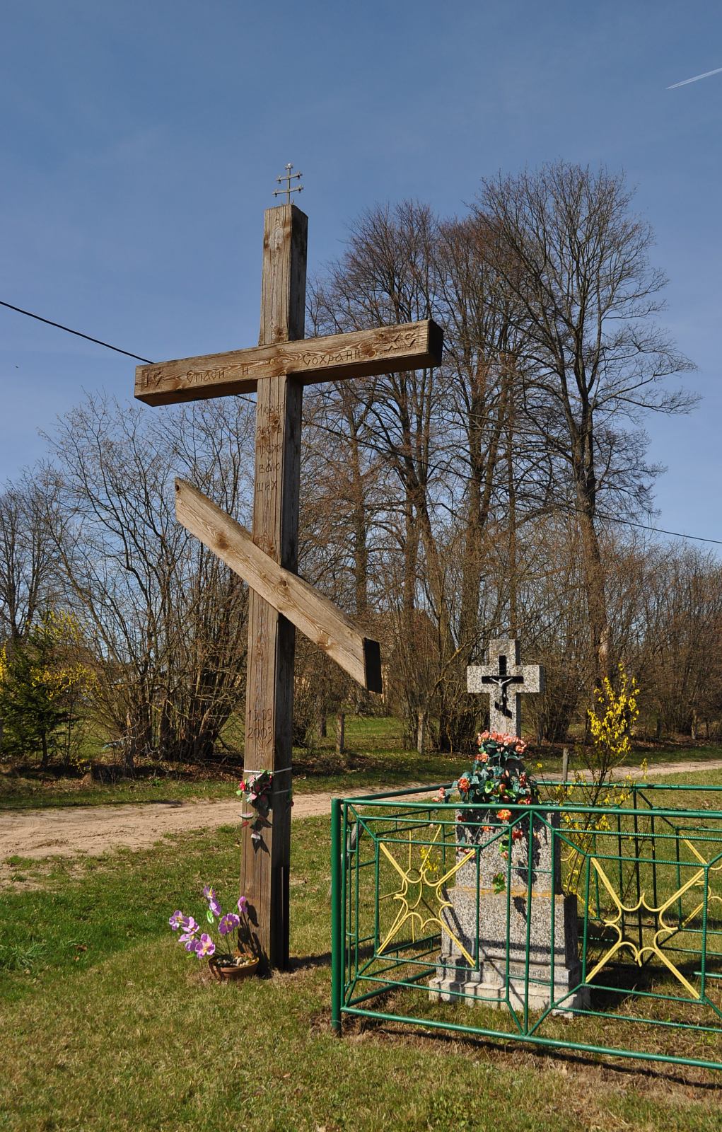 Puchły