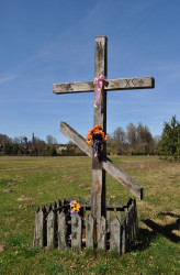 bogdan 
Puchły 
2017-04-09 14:02:59