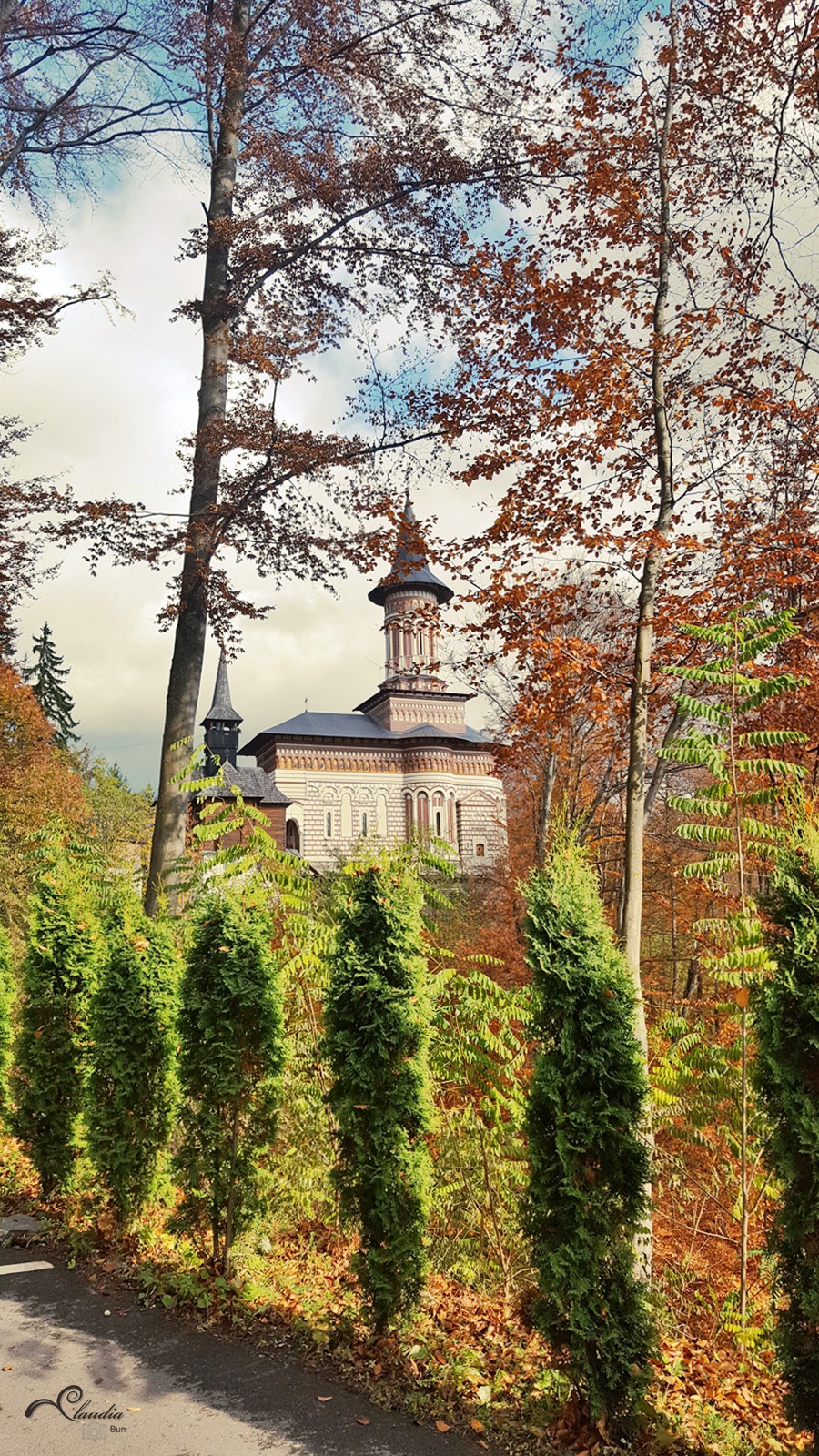 Rohia în culorile toamnei