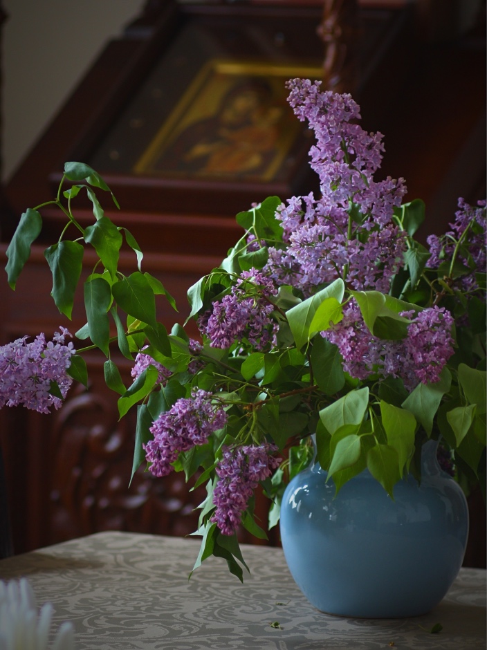 Spring in the refectory