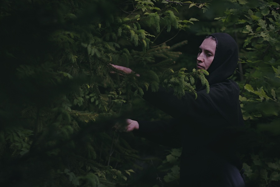 In the forest