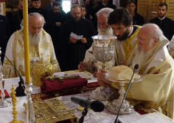 jarek1 
Divine Liturgy in Sts. Peter and Paul Cathedral in Chania 
2017-05-09 12:40:05