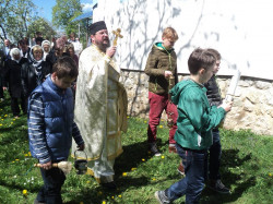 nikodim