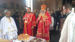 Dragoljub 
Слава 
2017-05-15 20:47:05