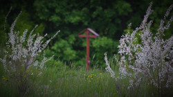 s.nektaria 
Where there will be a little church 
2017-05-16 16:43:35
