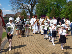 szolucha.w 
Procesja 
2017-05-20 06:20:17
