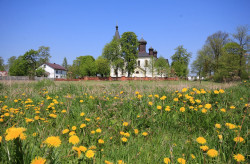 jarek1 
The Orthodox church in Czarna Cerkiewna 
2017-05-30 08:47:21