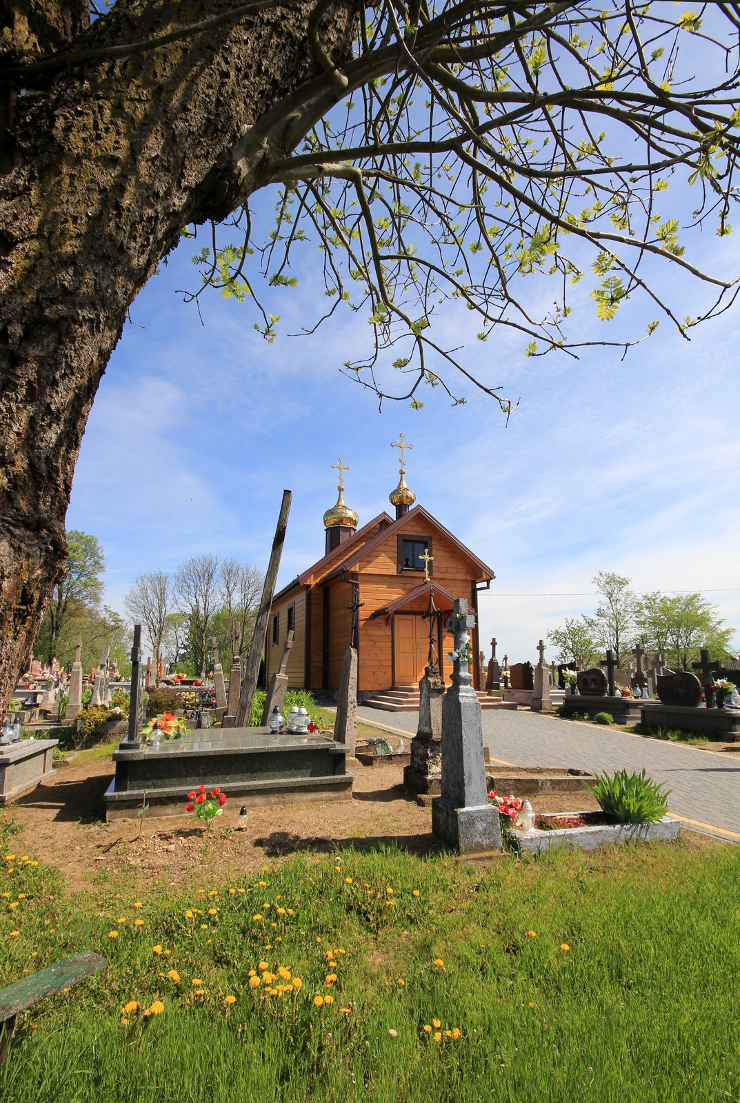 The Orthodox church in Knorydy
