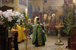 tolmargarita 
Каждение на Троицу 
2017-06-05 23:01:02