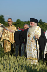 joanikije 
Архиепископ  Темишварски и Митрополит Банатски г. Јоан Сележан освећује  ж� 
33 
2017-06-06 00:21:17