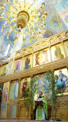 jarek1 
The Pentacost feast in Zwierki Convent 
2017-06-08 19:49:37