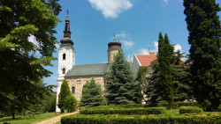 Dragoljub 
Манастир Шишатовац 
2017-06-23 13:28:32