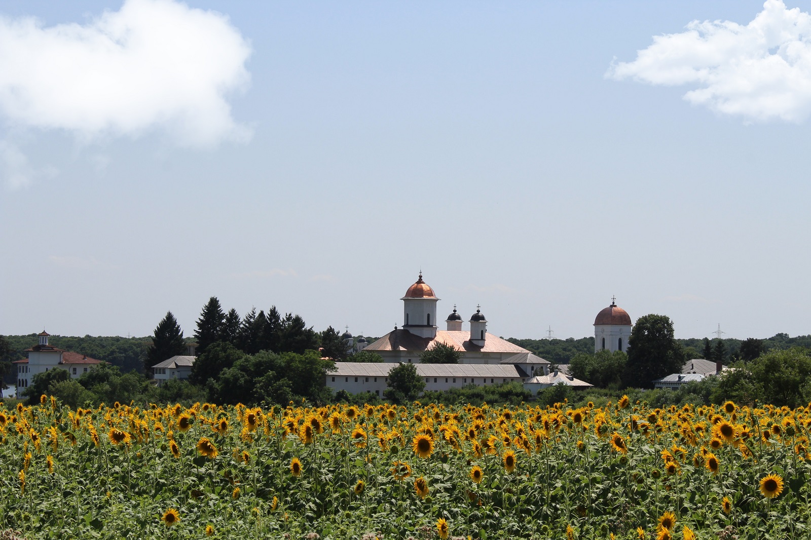 Cernica convent